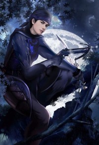 天降女将之总裁大人请接招